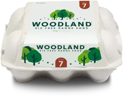 Pack shot: Half Dozen, Size 7