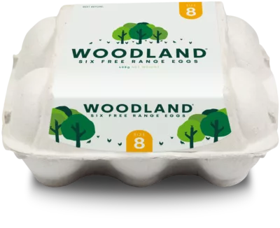 Pack shot: Half Dozen, Size 8