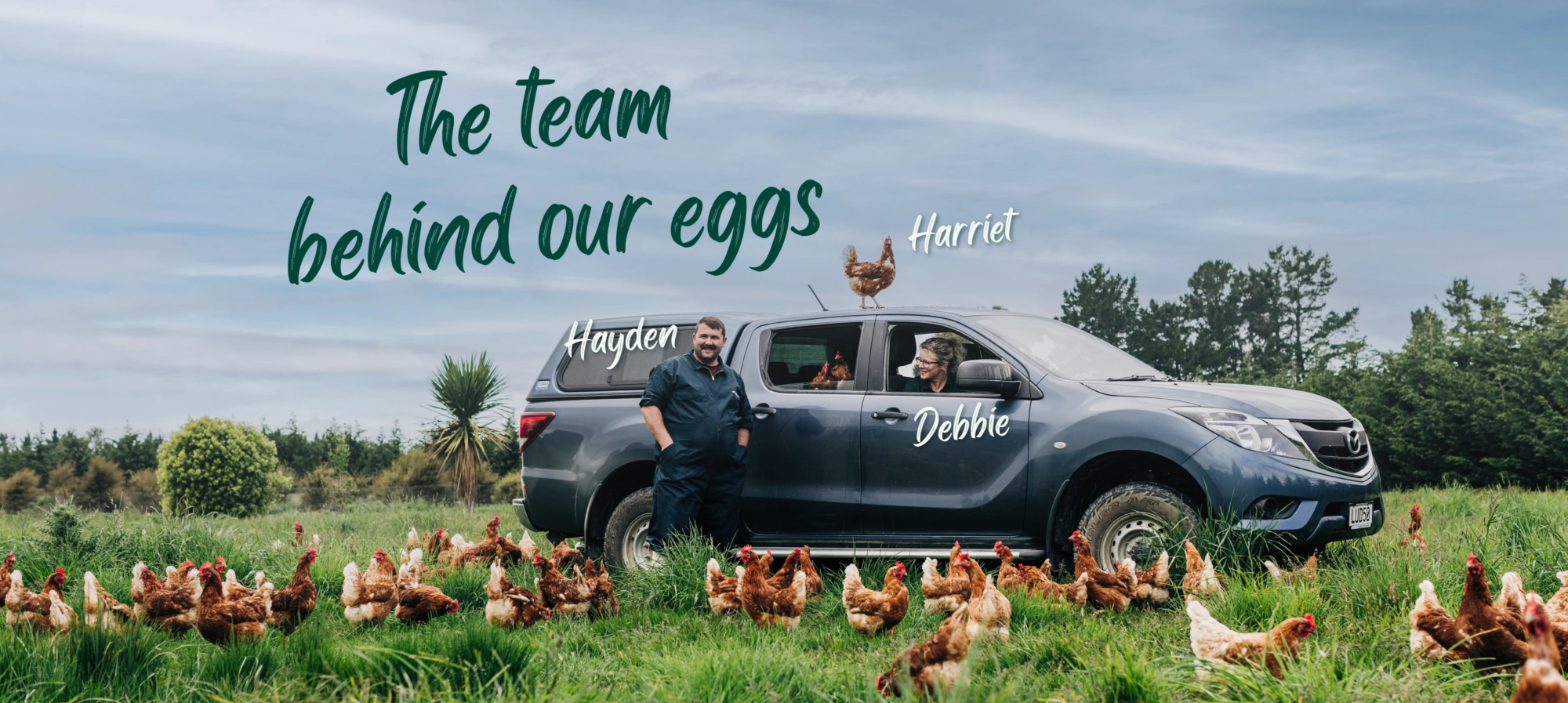 The team behind our eggs