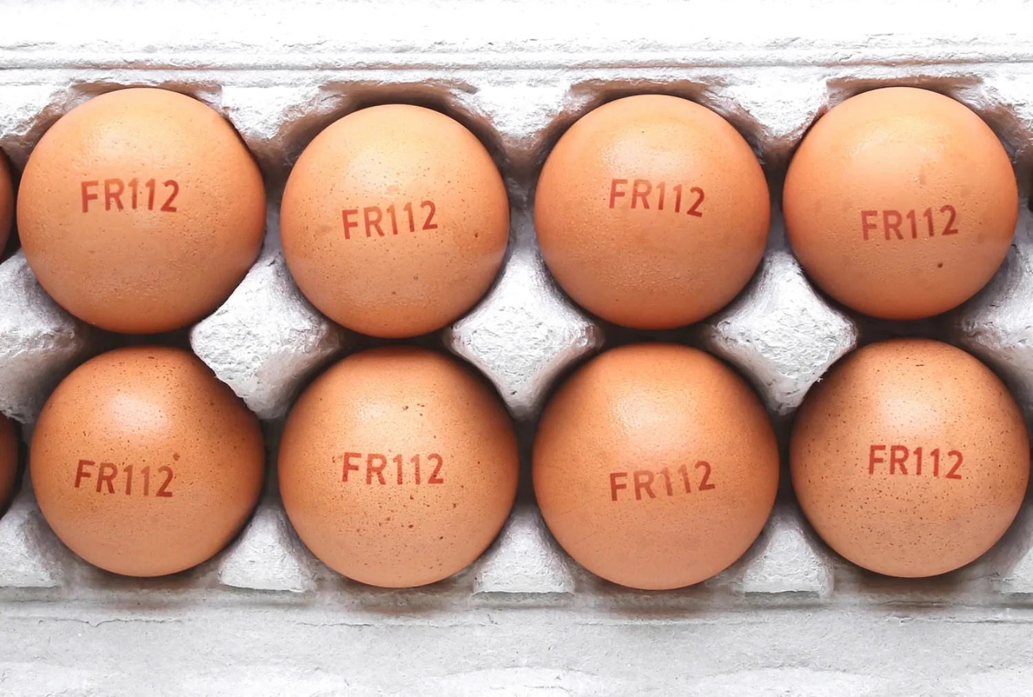 Eggs stamped with codes